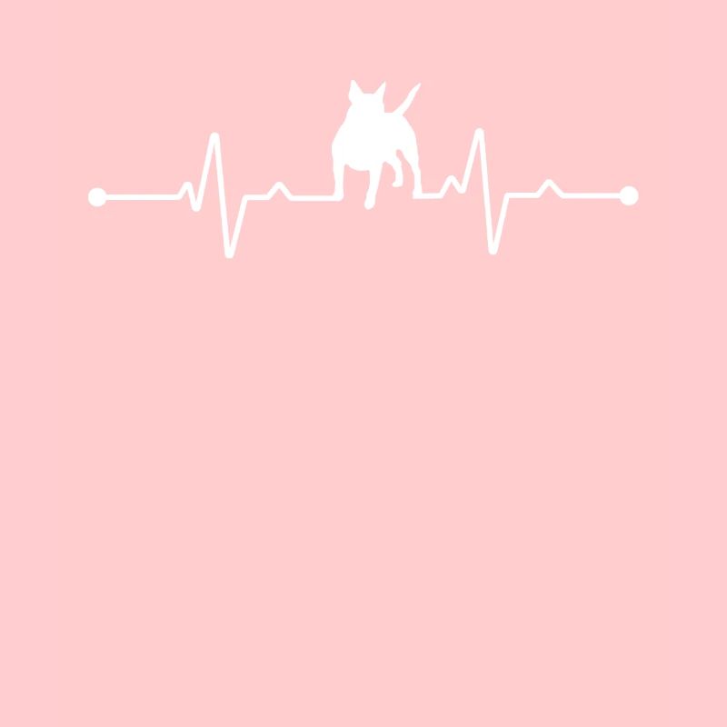 Weiße Schweizer Schäferhunde - Weiße Schweizer