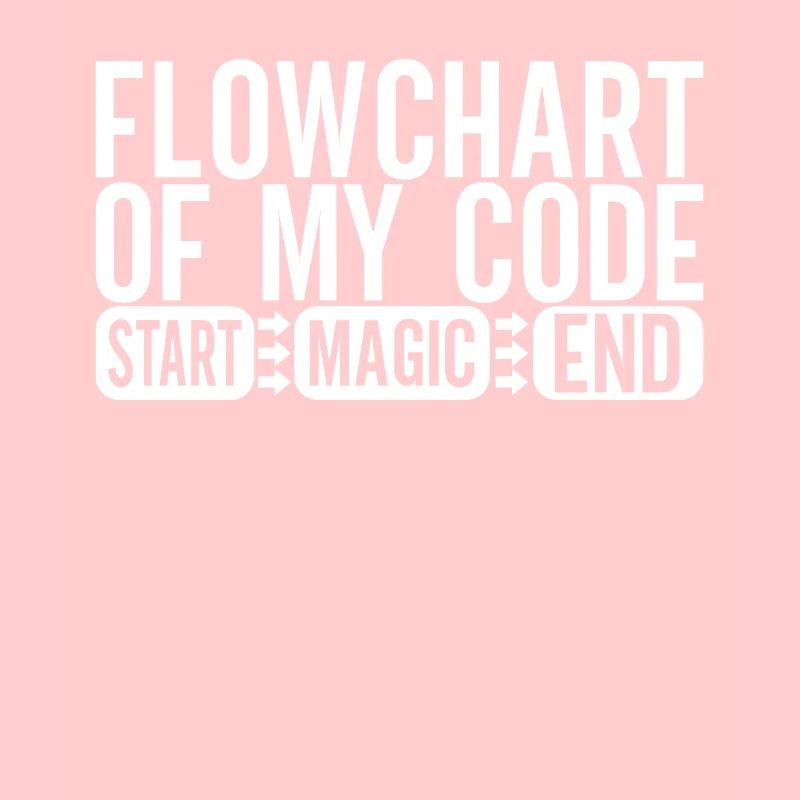 Programmeur Informaticien