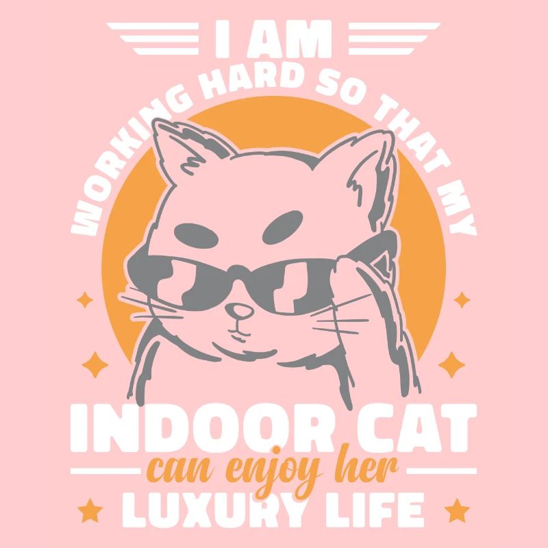 Drôle de chat d’intérieur