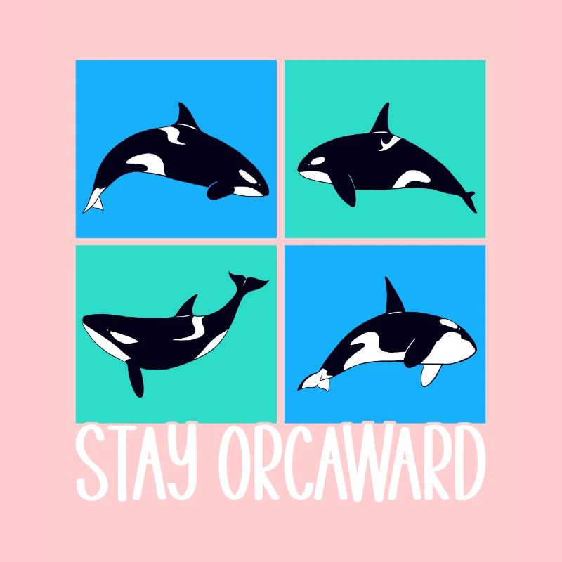 Wale Walbeobachter Orca