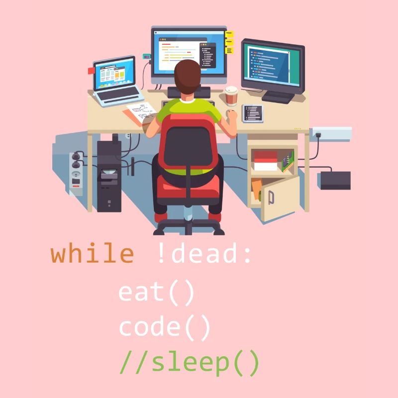Informatique Python Programmeur Manger Code Sommeil