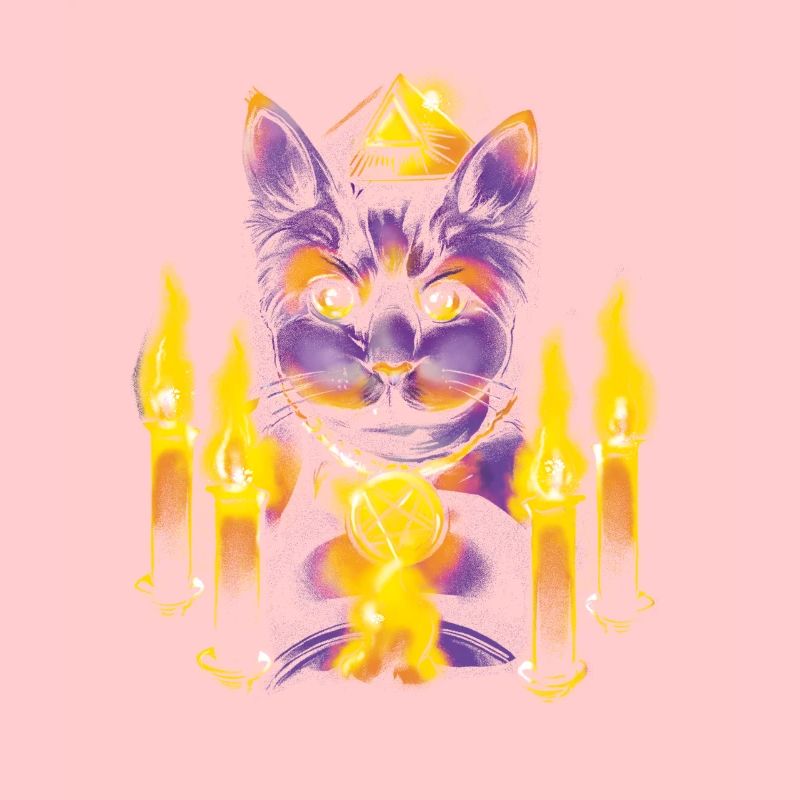 Magic cat