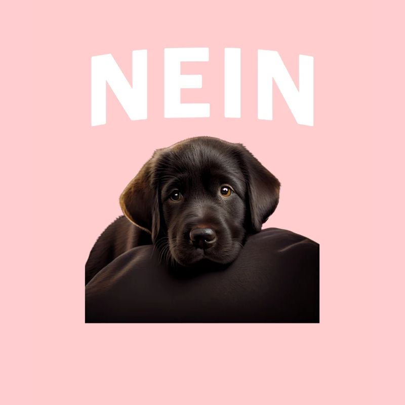 Statement Labrador, Nö Fun, Einfach Nö, Nein
