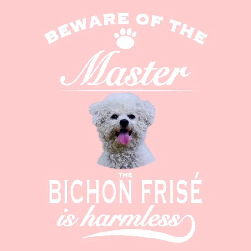 Beware of the master, harmless Bichon Frisé