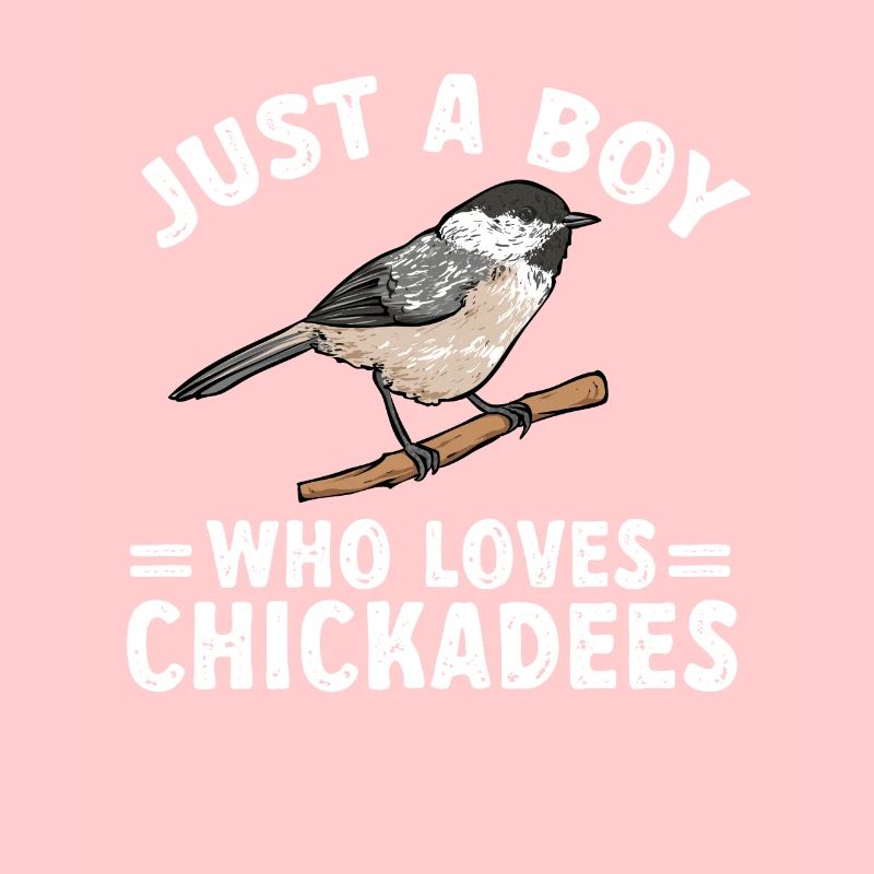Meise Vogel Chickadee Vogelbeobachtung