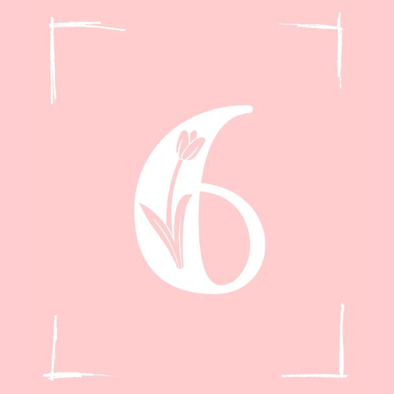 number 6 initial