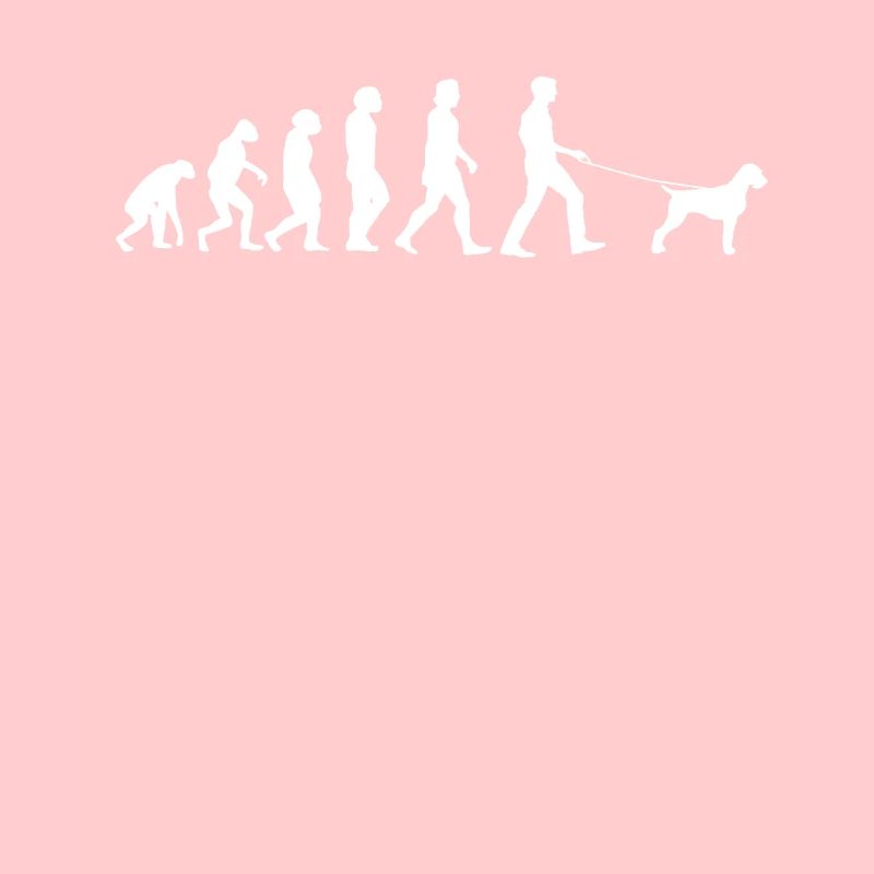 Hunde Deutsch Drahthaar Hundebesitzer