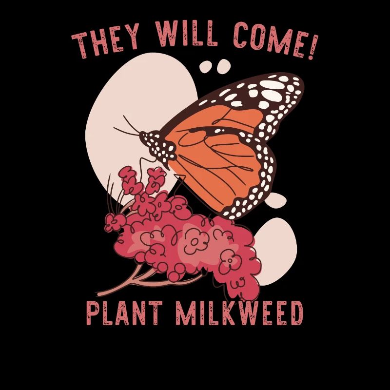 Monarque Papillon Asclépiade