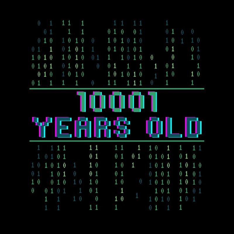 17th birthday 17 years old Binary Code Computer Science