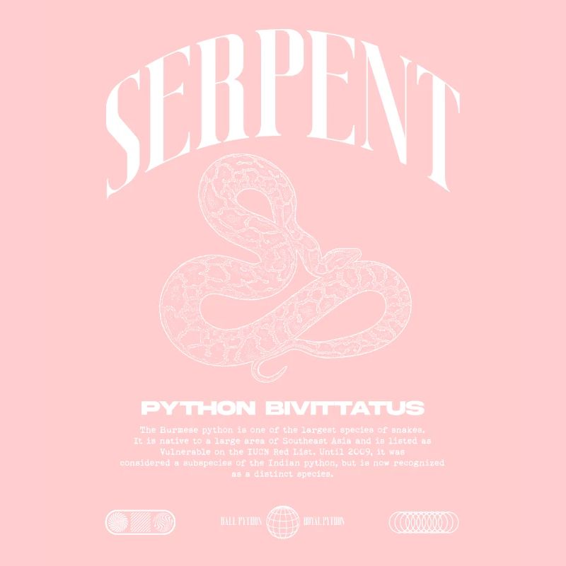 Python birman moderne Reptile gardien Streetwear