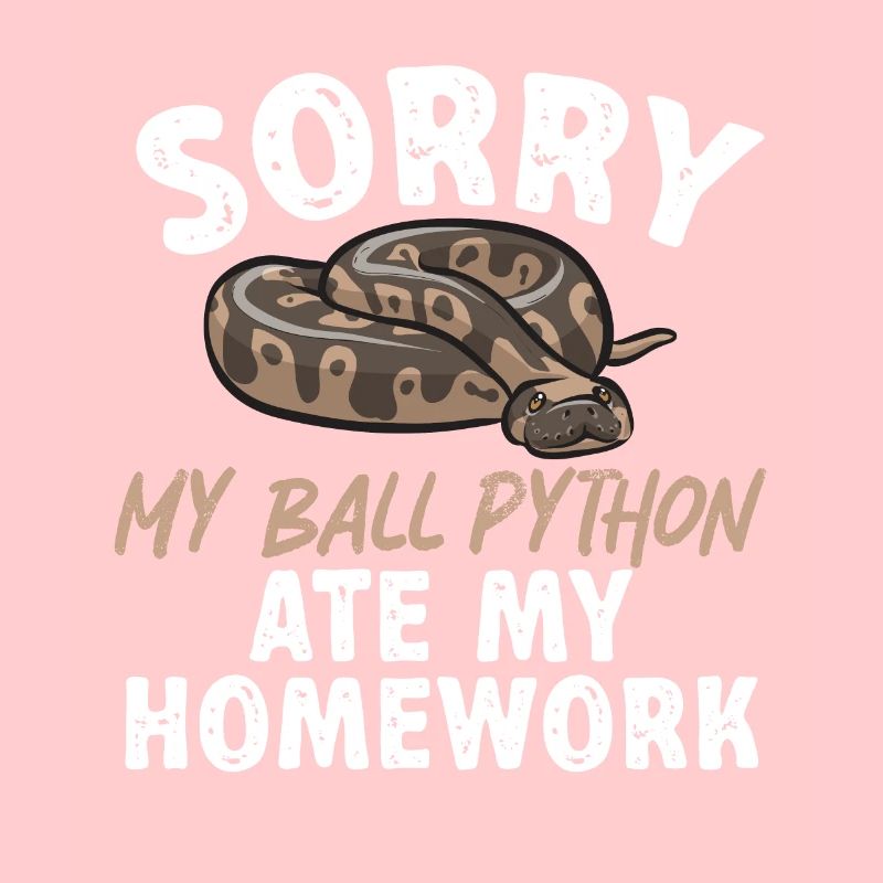 Ball Python Schlange Königspython