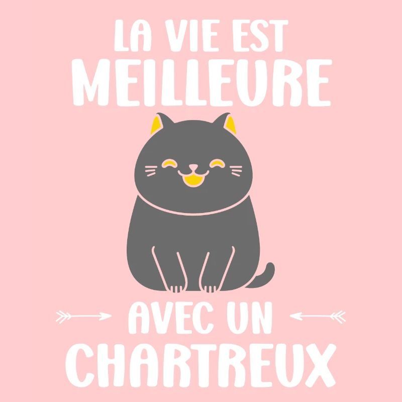 Humour chat chartreux