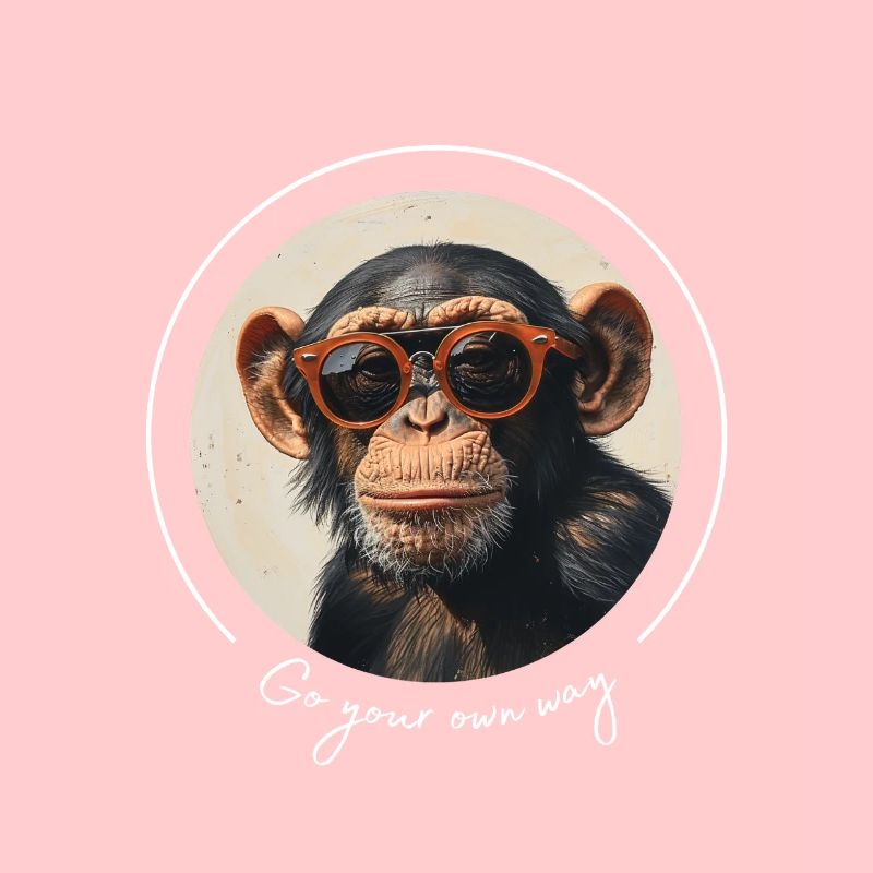 Lunettes de soleil Monkey Cool