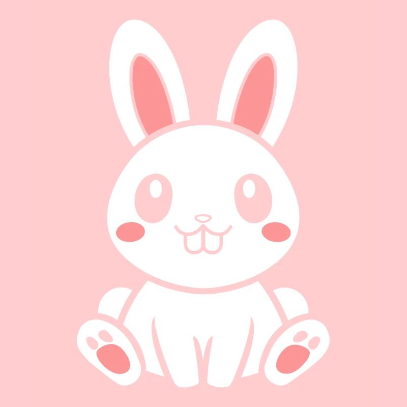 Petit bébé lapin