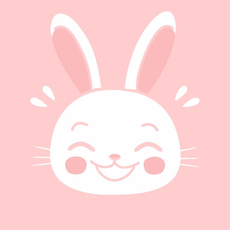 Petit bébé lapin