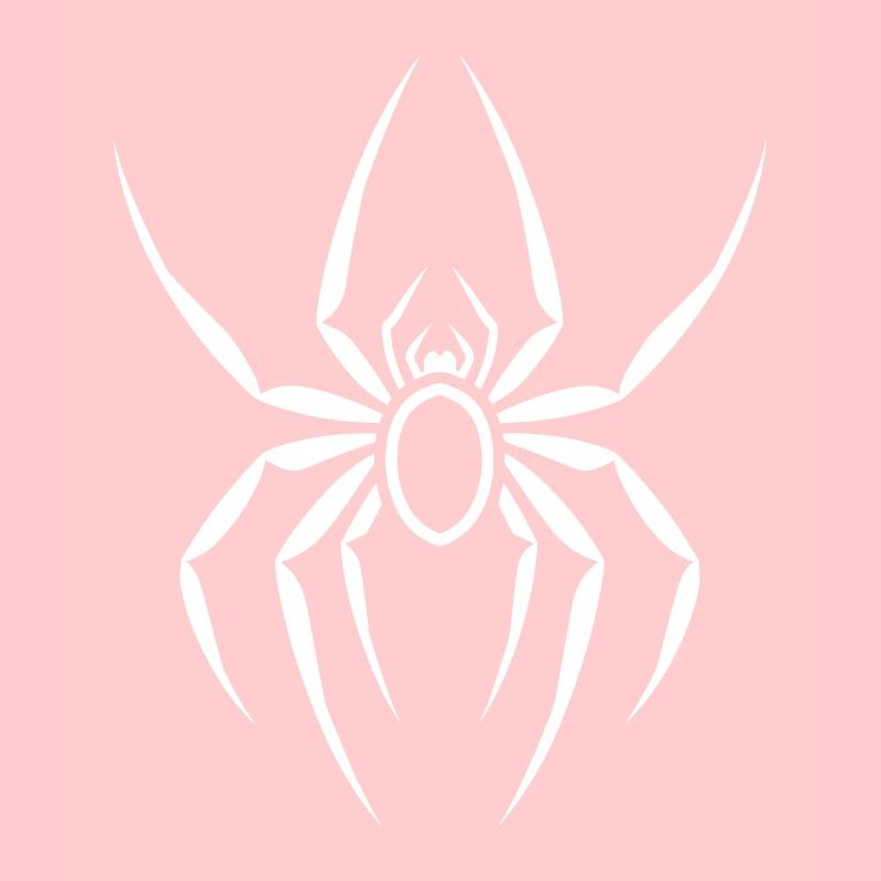spider