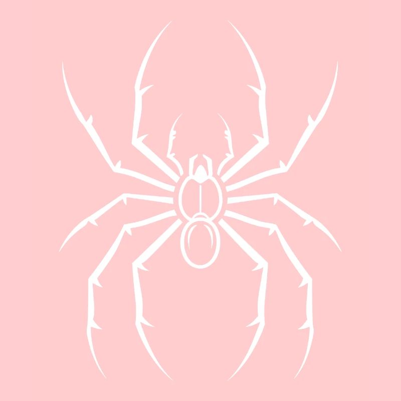 Spinne