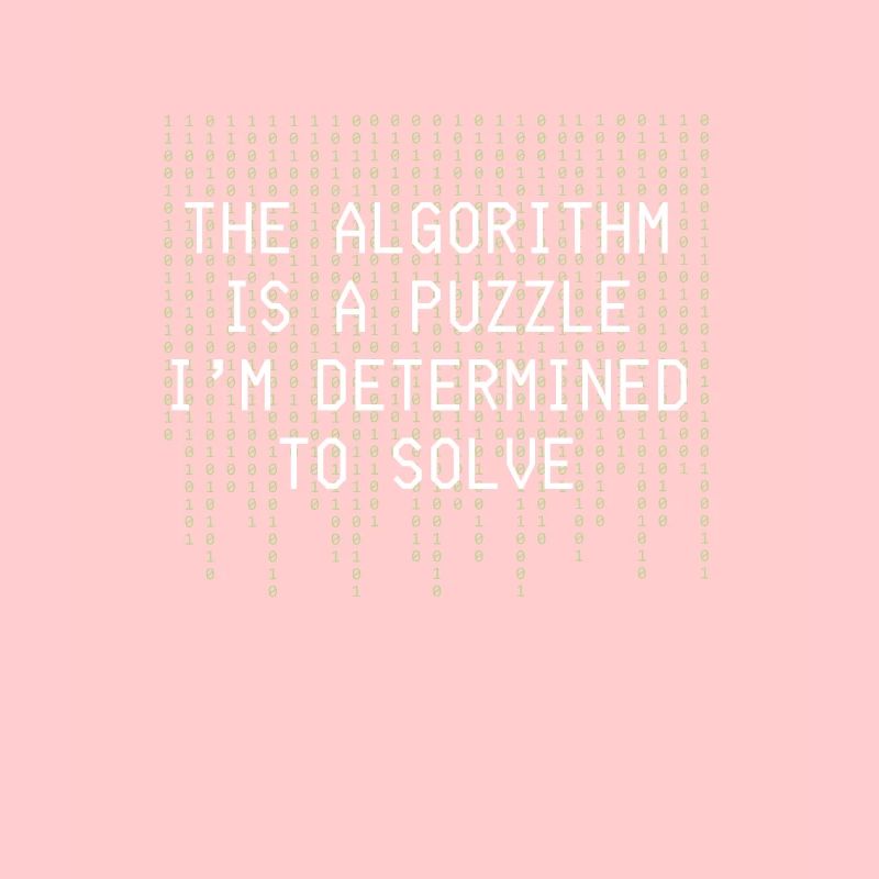 Algorithm Puzzle Solve Binary Code