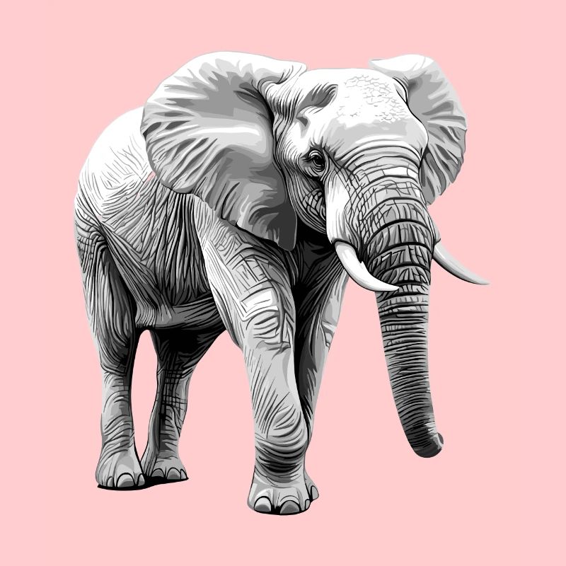 Elefant