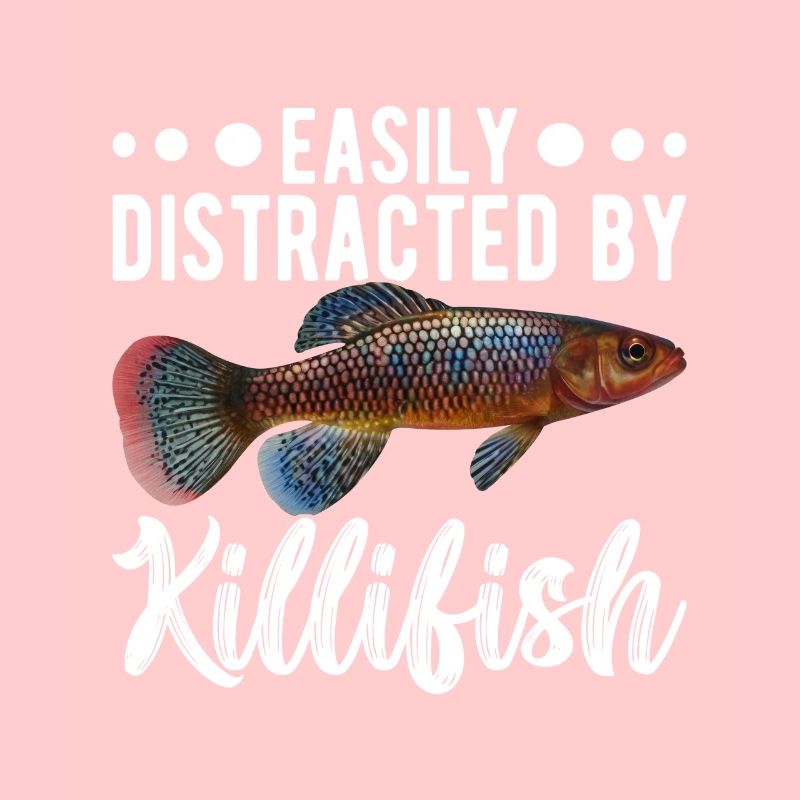 Killifish Quarium Fish