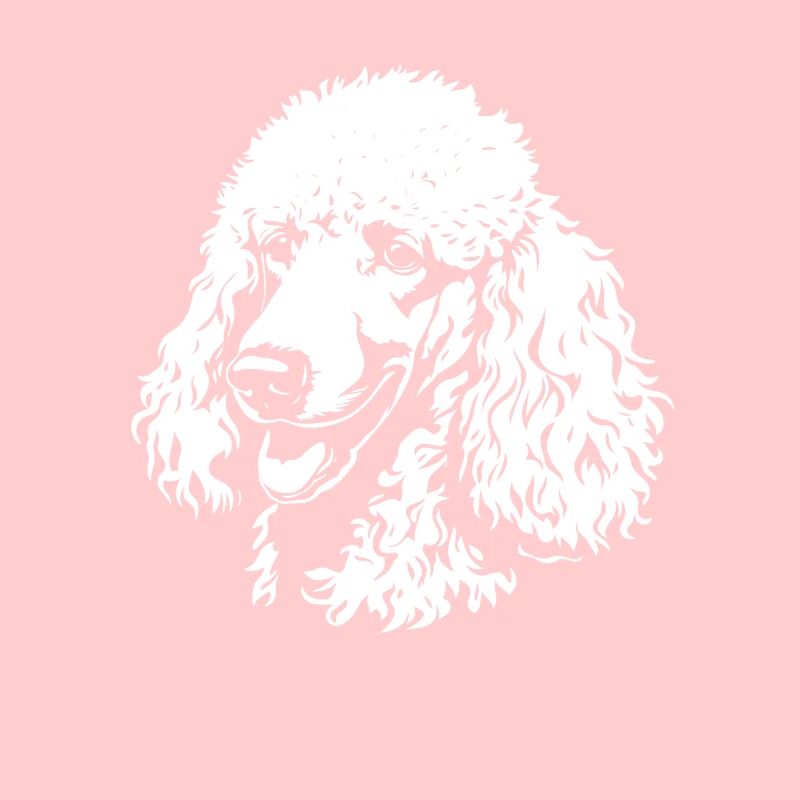 Caniche - Fan de chien
