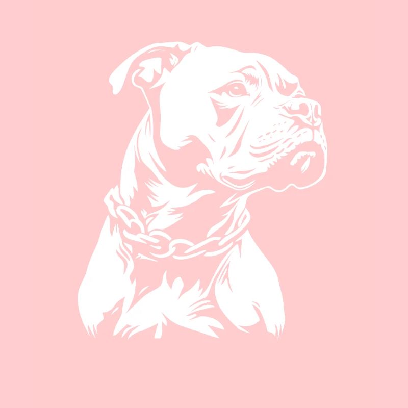 Bully - Fan de chien
