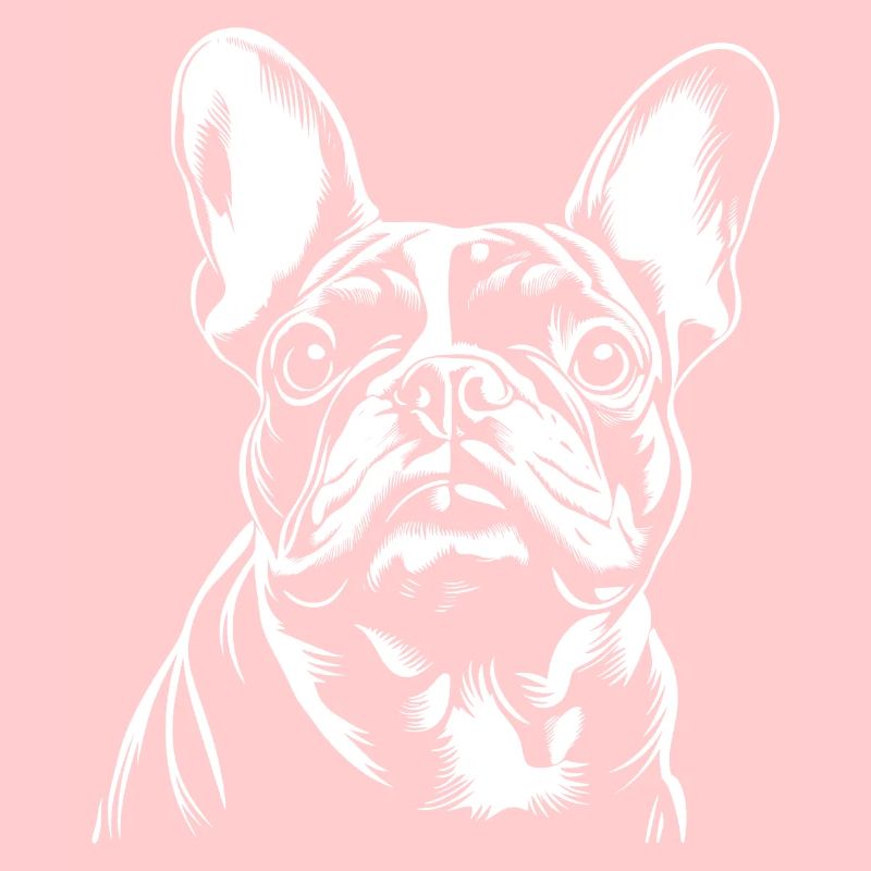 Frenchie - Fan de chiens