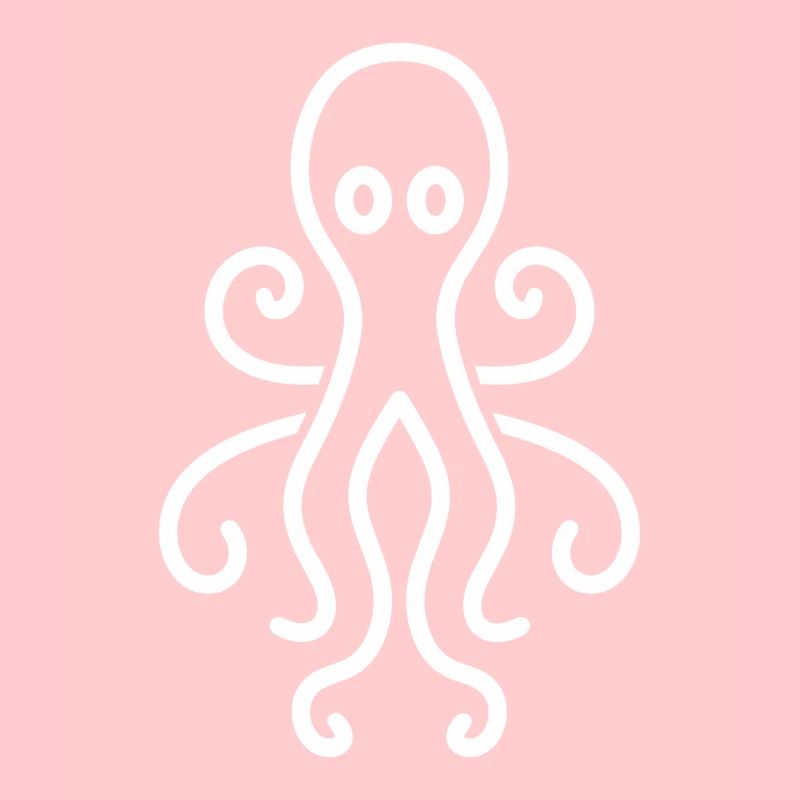 Squid