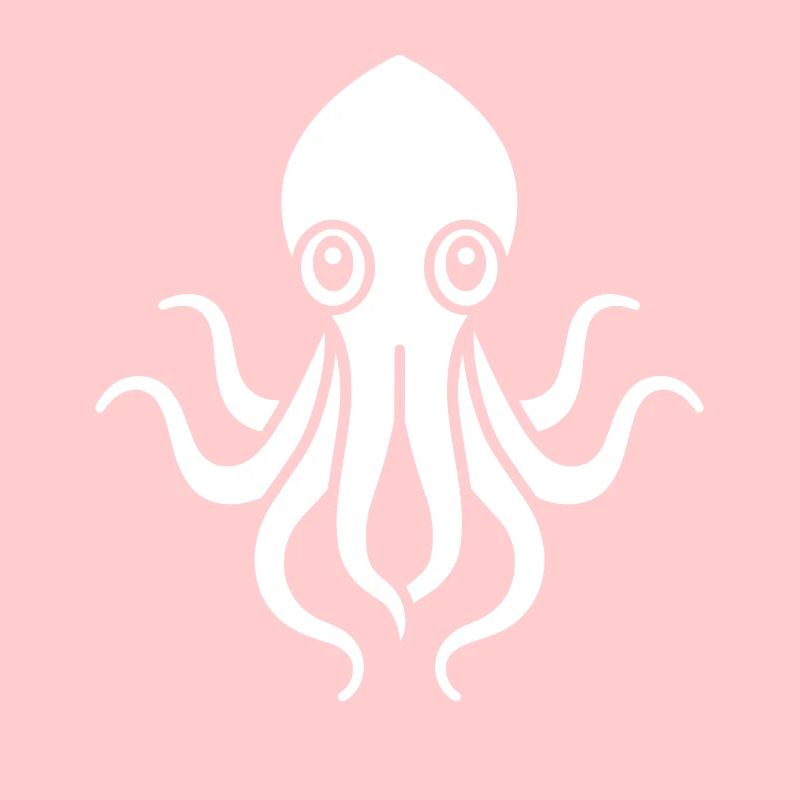 Squid
