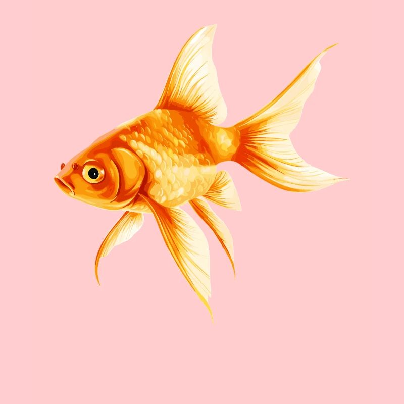 poisson rouge