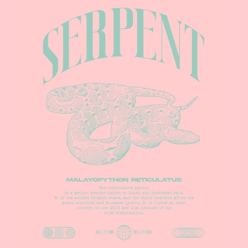 Gardien de reptiles python réticulé Streetwear