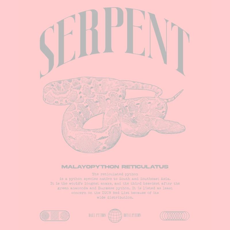 Gardien de reptiles python réticulé Streetwear