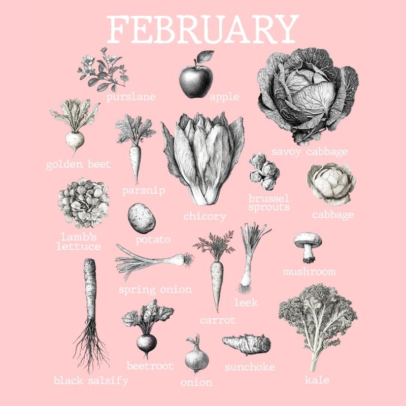 Februar Collage mit saisonalem Gemüse und Obst
