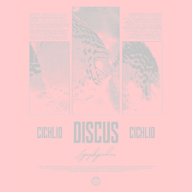 Discus Cichlidé Aquarium Fish Keeper