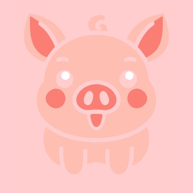 pig