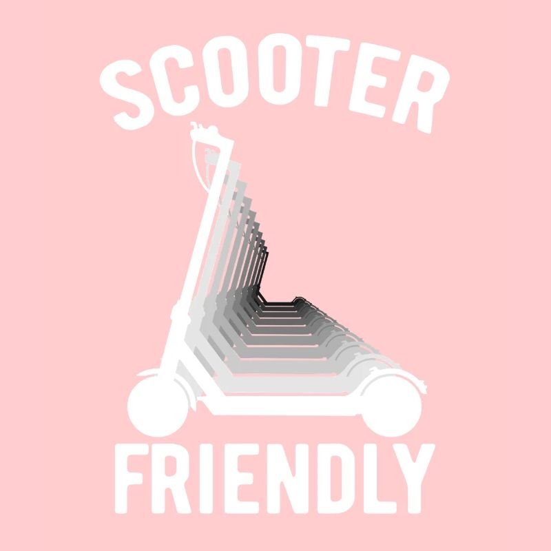 Scooter Friendly E-Scooter, Roller mit Akku
