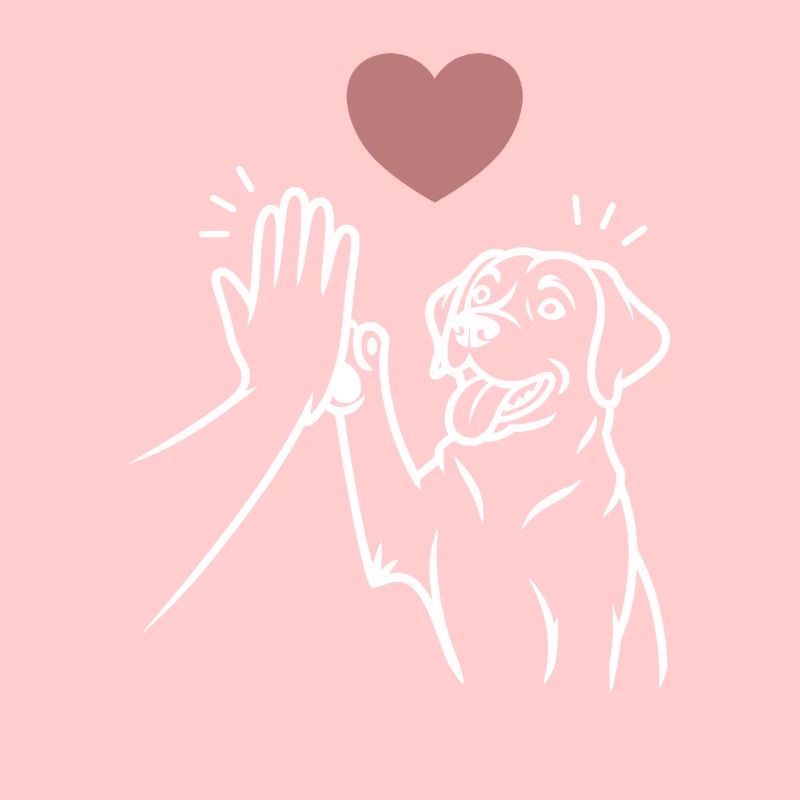 Labrador high five