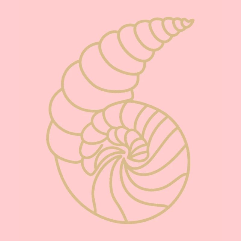 shell