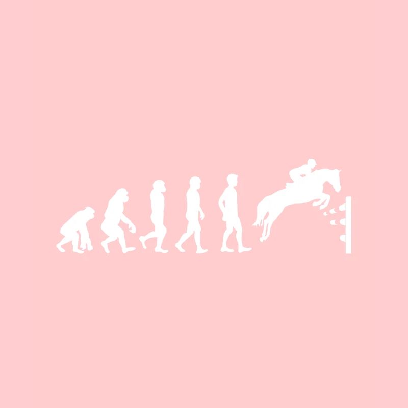 Evolution du don de l'équitation de saut