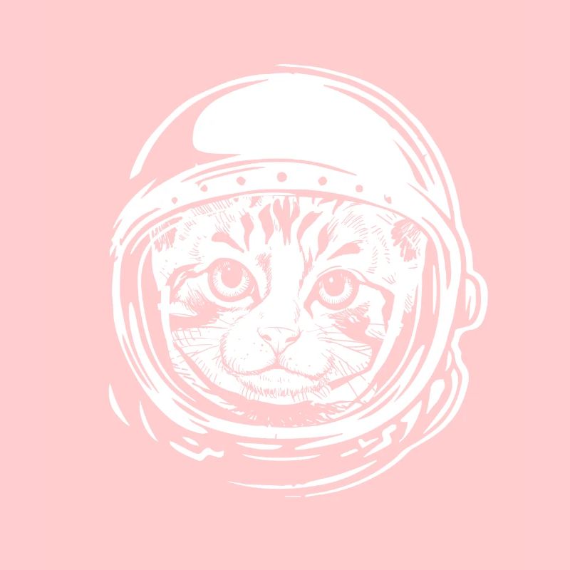 Cat astronaut lover cute gift pet