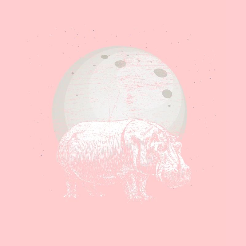 Hippo