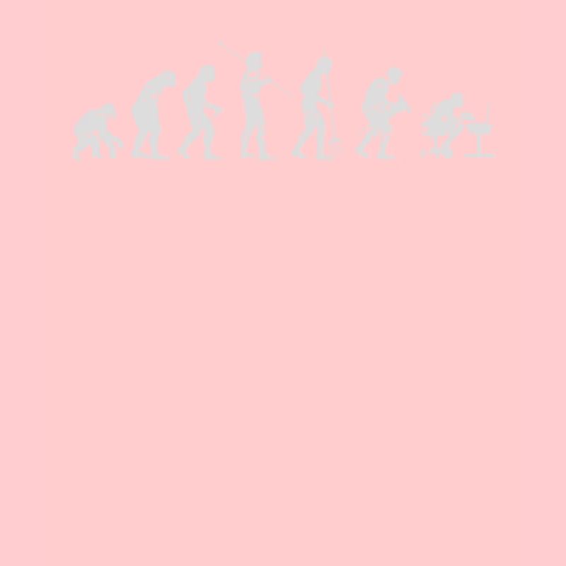 Evolution Informatiker