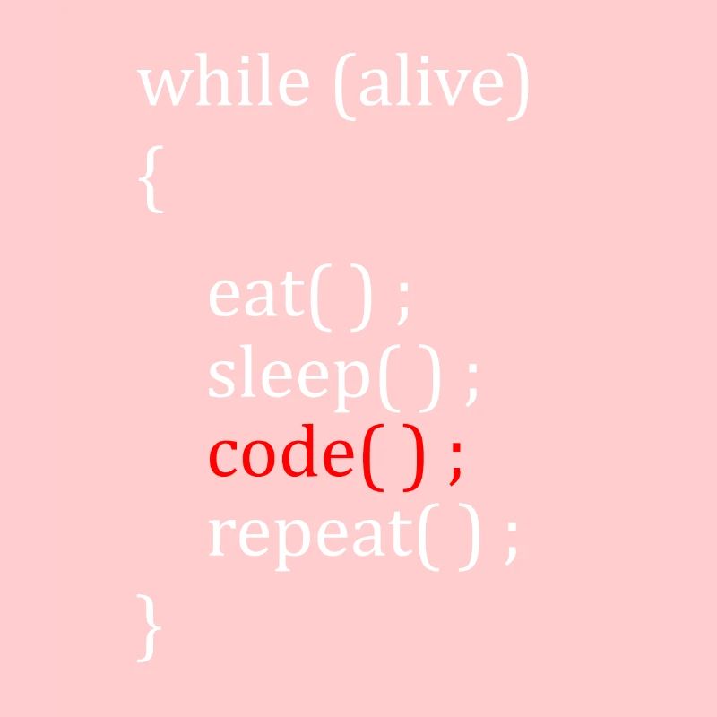 Computer Scientist Hobby
