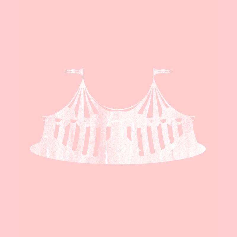 Circus show