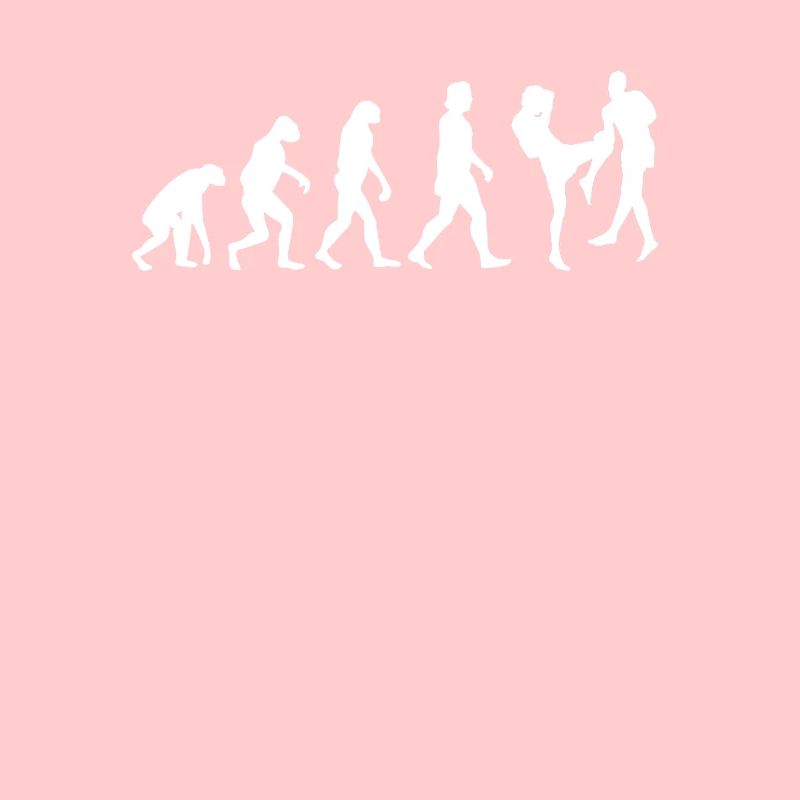 Thai Boxen Evolution