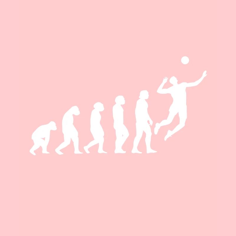 Volleyball Evolution