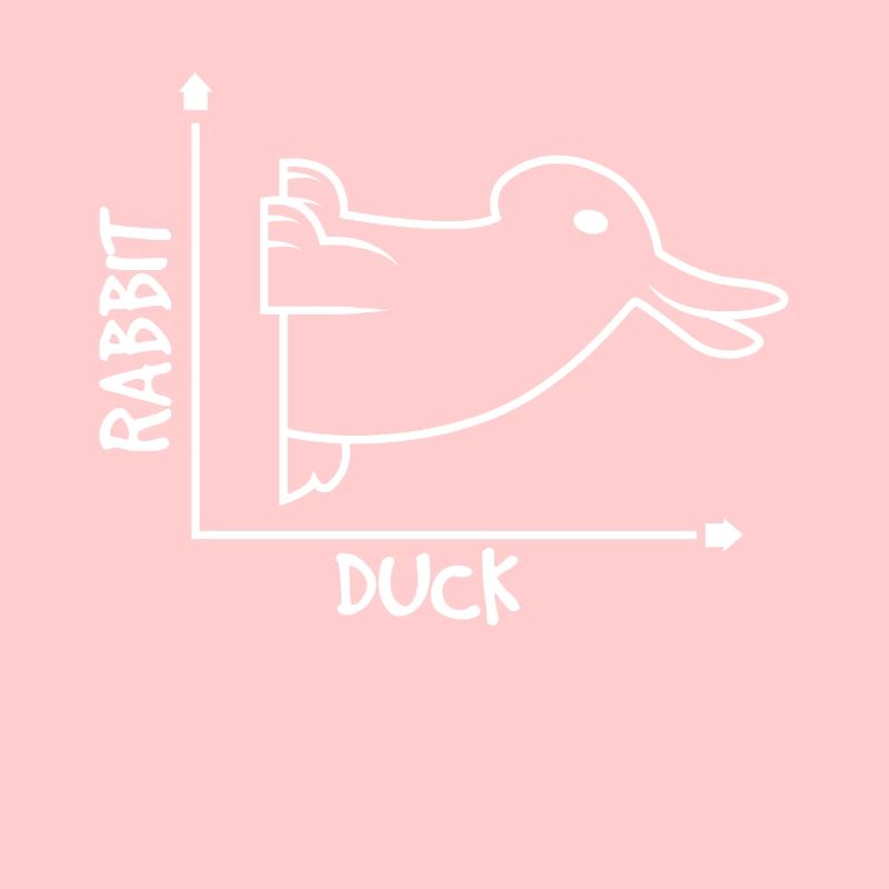 Optical Illusion Rabbit Duck