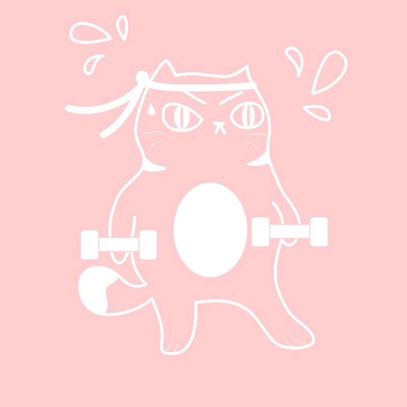 Katzen Workout