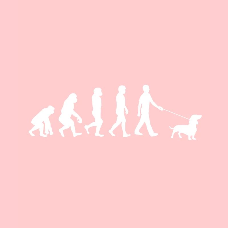 Dachshund evolution