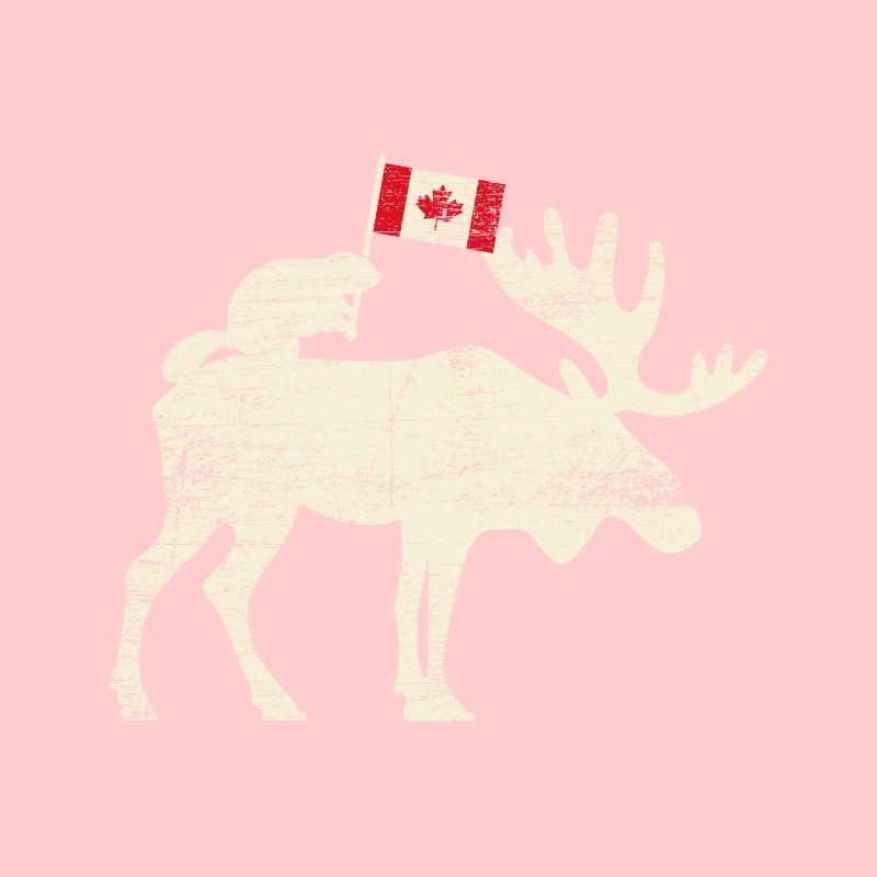 Canada drapeau canadien